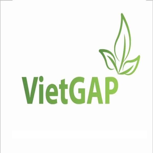 Tiêu chuẩn VietGAP là gì?