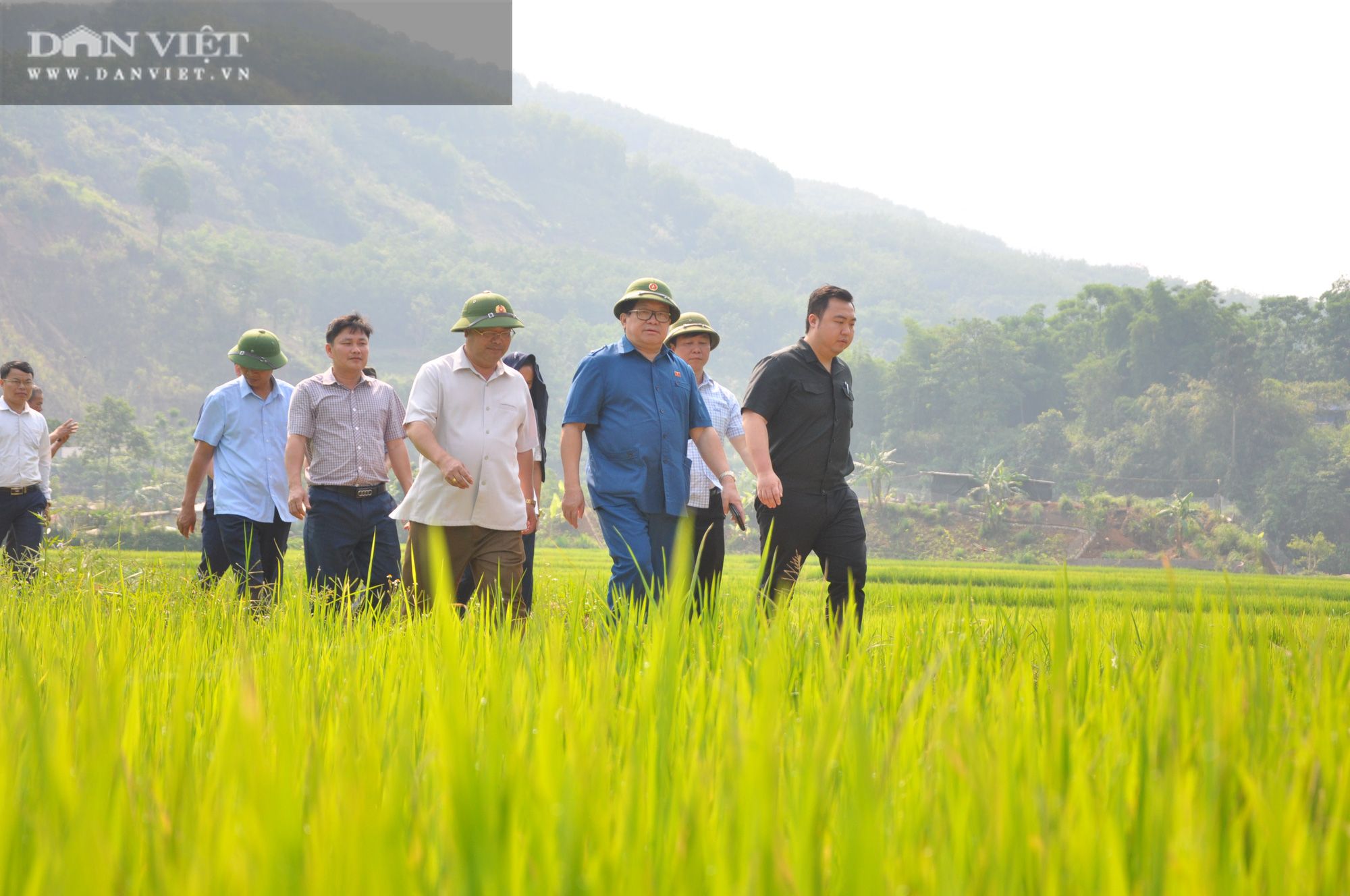 Chủ tịch Hội Nông dân Việt Nam mách nước giúp nông dân Lai Châu trồng lúa theo tiêu chuẩn quốc tế