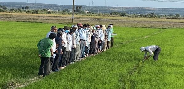 <b>Hội Nông dân tỉnh tổ chức tập huấn triển khai Dự án tuyên truyền, vận động nông dân áp dụng canh tác lúa thân thiện với môi trường tại huyện Bắc Bình ...</b>