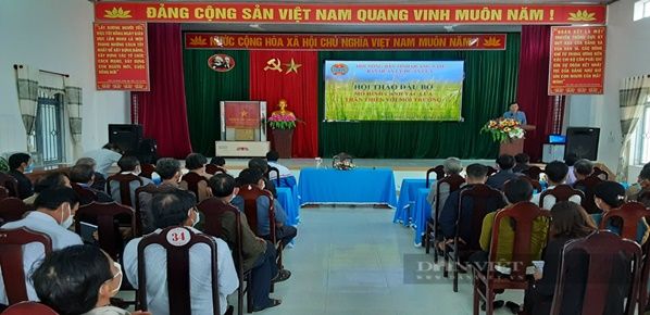 Quảng Nam: Ra tận đồng ruộng hướng dẫn nông dân cách trồng lúa thân thiện với môi trường