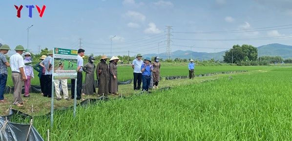 Tập huấn kỹ thuật tưới nước trong canh tác lúa thân thiện với môi trường cho nông dân Xuân Phú và Tư Mại