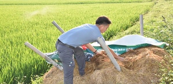 <b>Nuôi sâu can-xi để sản xuất nông nghiệp xanh - mô hình mới ở Nghệ An</b>
