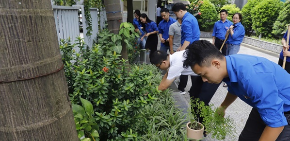 Hưởng ứng Ngày cao điểm Chiến sĩ tình nguyện xây dựng Đô thị