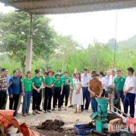 Trên 60 hội viên nông dân tham quan, học tập mô hình xử lý rác thải hữu cơ