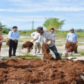 Thúc đẩy phát triển các mô hình nông nghiệp tuần hoàn tại Đà Nẵng