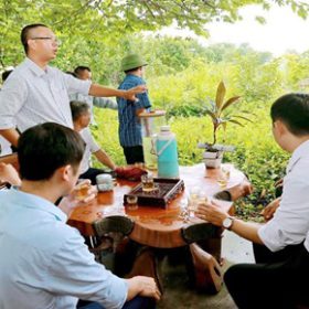 Hải phòng nuôi sâu canxi