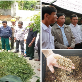 Thay đổi nhận thức, hành động, hơn 60.000 hộ xây dựng mô hình xử lý rác thải thân thiện với môi trường
