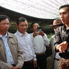 giảm phát thải khí nhà kính